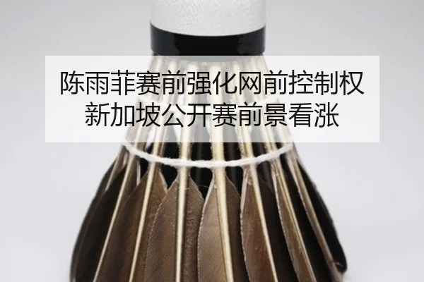 陈雨菲赛前强化网前控制权 新加坡公开赛前景看涨